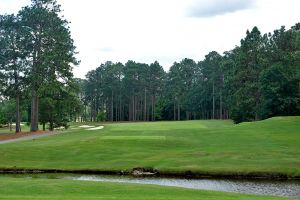 CC Of NC (Dogwood) 17th